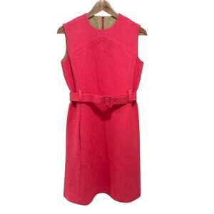 Abe Schrader Pink Belted Sheath Dress Vintage 1960s Mod Shift Vtg Sz 10